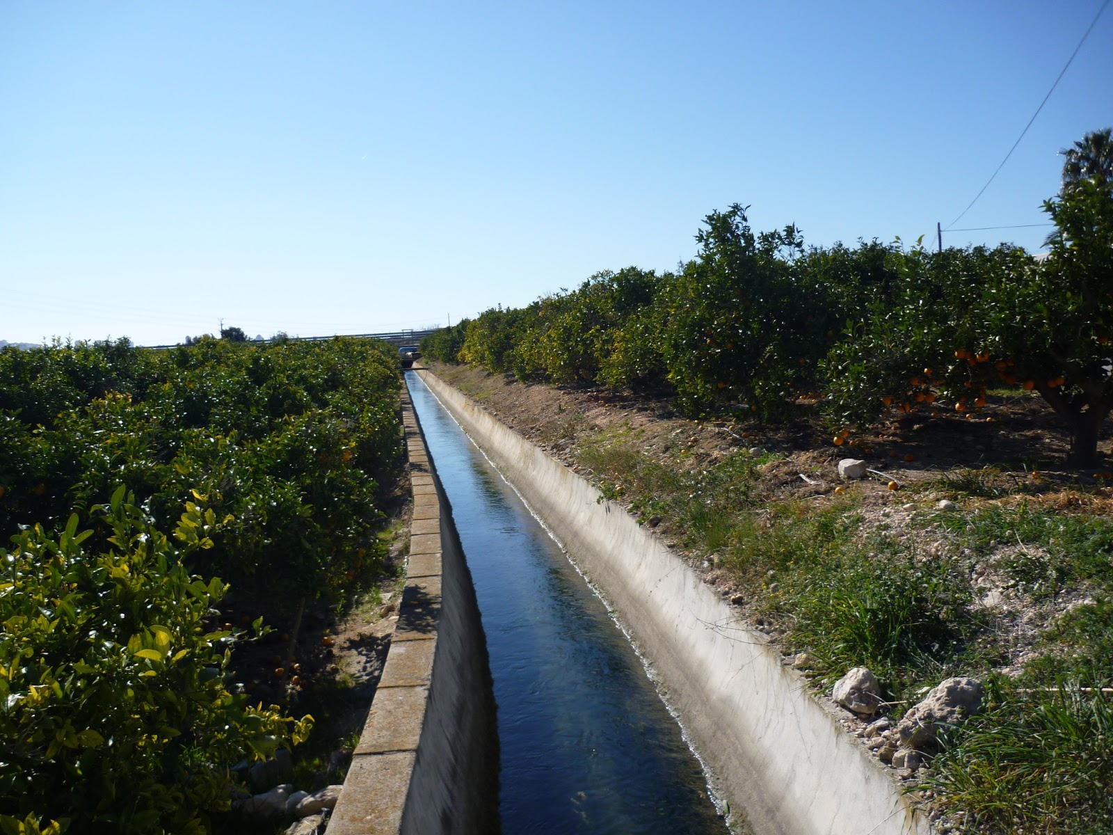 Infraestructura del Canal Bajo Algar